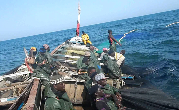 URGENT : 5 pirogues saisies à Nouadhibou. Les membres des équipages arrêtés.