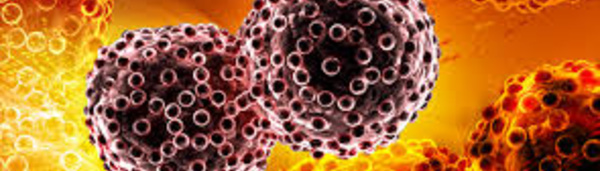 15.000 nouveaux cas de cancer enregistrés chaque année au Sénégal