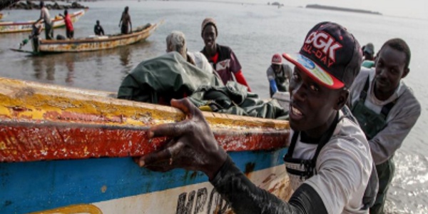 Dagana : La pêche continentale peine à sortir la tête de l’eau 