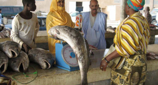 Suspension des pêcheurs de Guet-Ndar : le poisson devient cher en Mauritanie