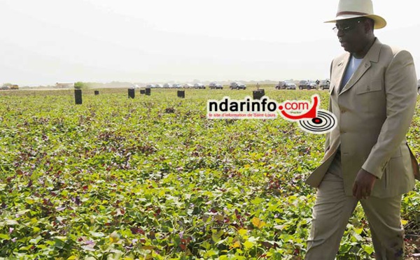 Tournée économique : le programme de la visite de Macky SALL à Podor.