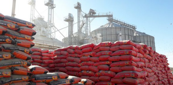 Agroalimentaire : privé de riz, Vital tire le signal d’alarme
