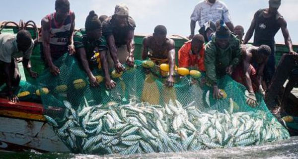 Banjul : les accords de pêche attendus avec "intérêt" par des pêcheurs et mareyeurs sénégalais