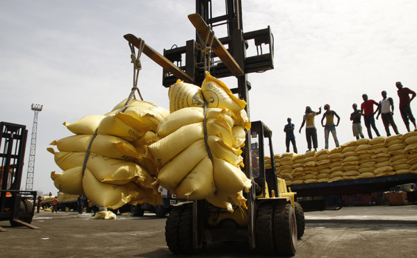 L’Isra met en garde contre les dangers du riz importé