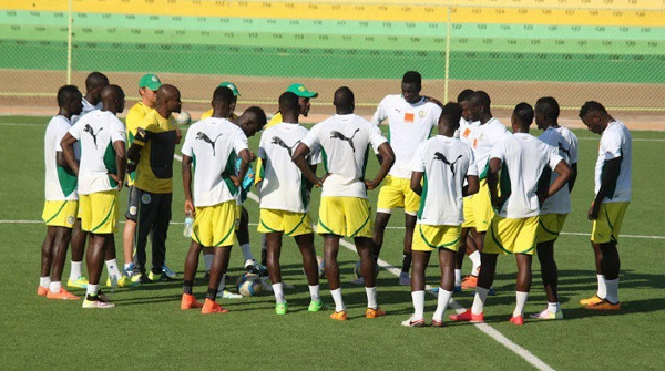 Classement FIFA : Les Lions reculent de deux rangs