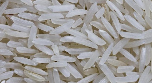 Dr Ngom à propos du faux riz: « si c’était du plastique, ceux qui l’ont consommé seraient… »
