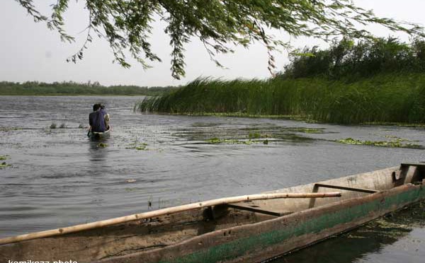 Fleuve Sénégal: Macky Sall remplace Alpha Condé à la tête de l’organisation