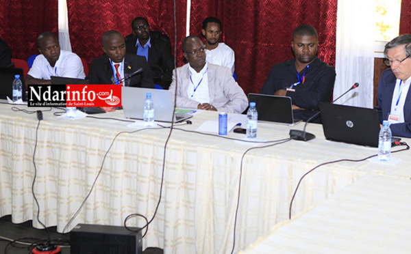 Prolifération des listes électorales : une raison « d’améliorer » le mode de scrutin, selon le chercheur Abdou Aziz NDIAYE