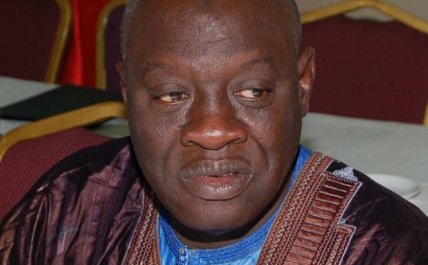 Amadou Bakhao Diaw, traditionnaliste : la mémoire vivante de l’histoire du Walo