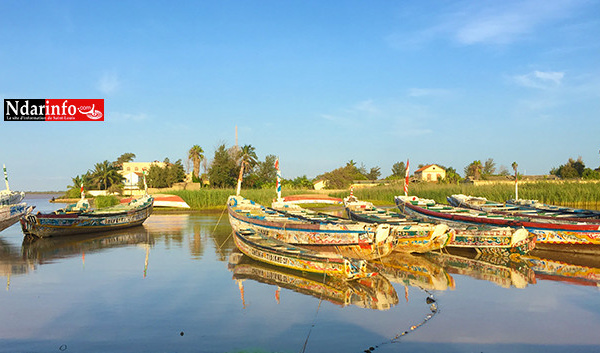 GOXU MBACC : Mansour FAYE nettoie les berges (photos)