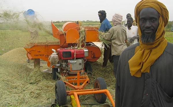 TOURNÉE NATIONALE : l’OPS rencontre les paysans de TAMBACOUNDA
