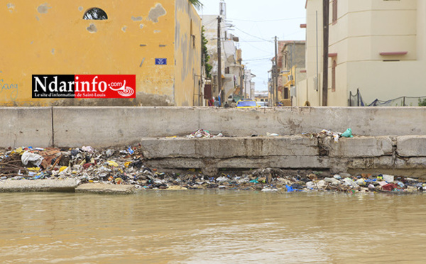 ORDURES : catastrophiques, les berges de Sindoné ( photos )