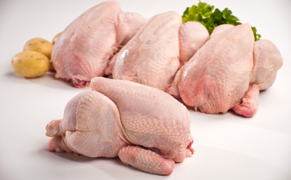 Le Sénégal ne lèvera pas l’interdiction d’importation de viande de volailles (ministre)