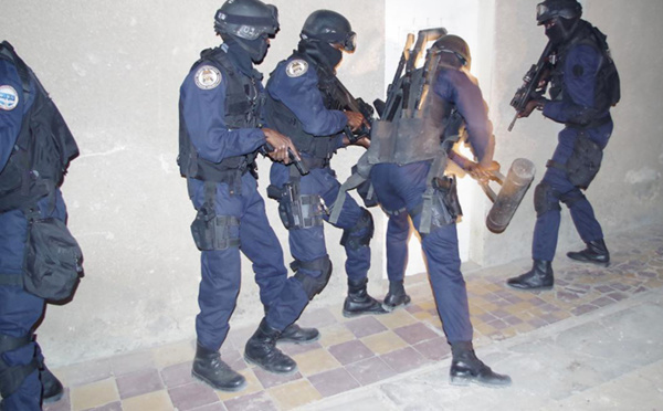 BOFFA : 20 personnes interpellées à Toubacouta