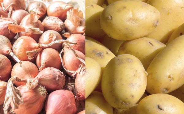 Oignon et pomme de terre : Gel des importations à partir du 25 janvier prochain
