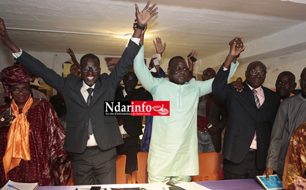 Le REWMI réactive ses bastions à Saint-Louis : « la vague orange devient une déferlante arc-en-ciel », crie Déthié FALL ( vidéo )