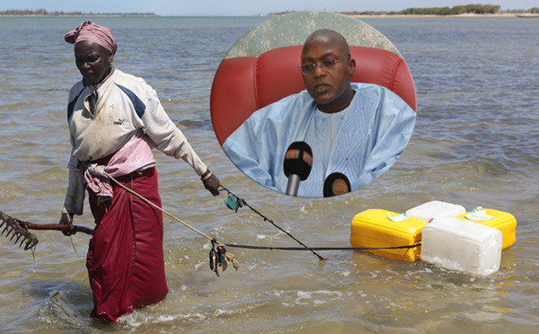 Diffusion de « Sanglots de Sirènes » : le ministre Oumar GUEYE réagit et promet ( vidéo )