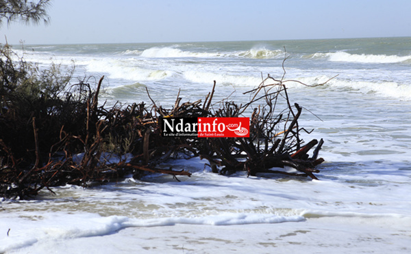 GANDIOL : ouverture d’un forum sur les impacts de la brèche, ce 31 mars à Tassinère.