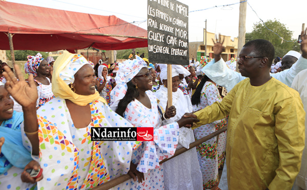 Hommages aux Femmes : Mor Gueye GAYE célèbre l’exemplarité des Mpaloises (vidéo)