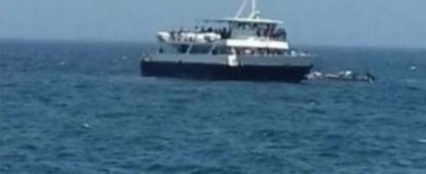 La chaloupe de Gorée à la dérive