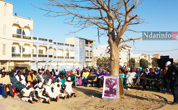 « Gouy Sedellé » replanté : un patrimoine de NDAR renait ( vidéo)