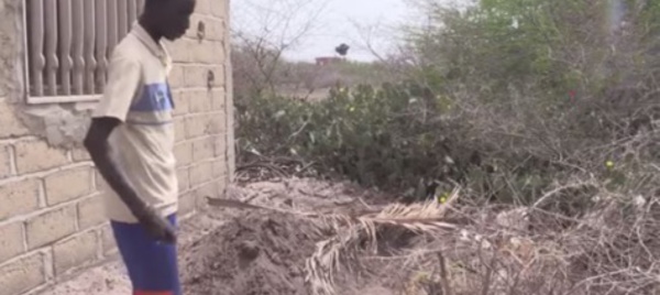 Vidéo - Assassinat d'Amy Collé Bâ: Reconstitution de la scène du crime (âmes sensibles s’abstenir)