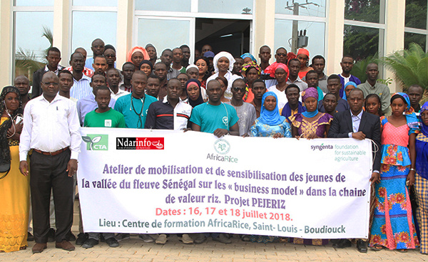 Promotion de la Chaîne de valeur riz : Africa Rice sensibilise 150 jeunes de la vallée sur les opportunités du secteur (vidéo)