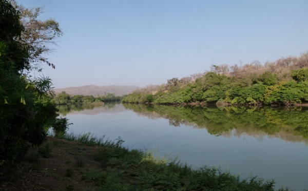 Alerte – Le fleuve Gambie se tarit à Kédougou