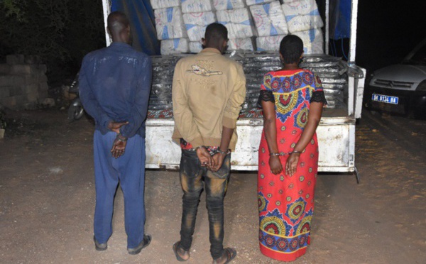 Mbour : 3,2 tonnes de drogue saisies, trois personnes dont une femme arrêtées