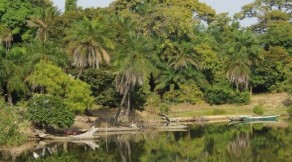 Affaire des exploitants forestiers de Boussoloum : Des disparitions inquiétantes