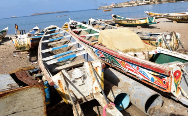 Casamance : 4 corps sans vie repêchés après des chavirements de pirogues
