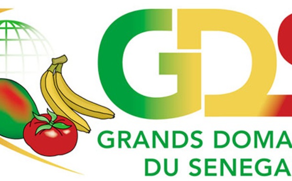 Projet d’exploitation d’un site agricole de 110 ha à THILLA : Avis d’audience publique, le mercredi 17 octobre ( communiqué)