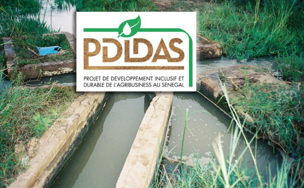 Ndiawdoune rejette le canal du PDIDAS : les populations fustigent « la méthode « solidaire et discriminatoire » du projet
