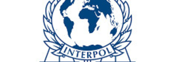 Vente de produits sexuels : Interpol arrête 7 personnes