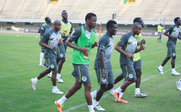 FOOT-BALL: 16 Lions au premier galop