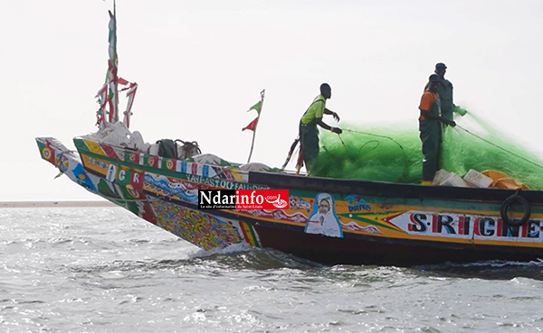 ​Dragage de la brèche : les pêcheurs devront attendre que ... (vidéo)