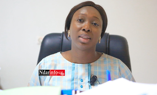 ​Carte électorale de Saint-Louis : 162.702 électeurs, 318 bureaux de vote et 89 centres (vidéo)