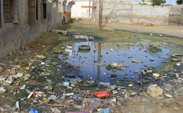 SAINT- LOUIS- Atelier  sur la valorisation des déchets d’industrie agro-alimentaires: La sonnette d’alarme tirée.