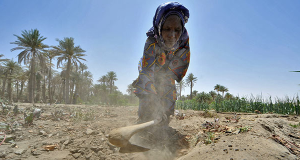 SAHEL : validation d’un plan d’investissement en faveur du climat