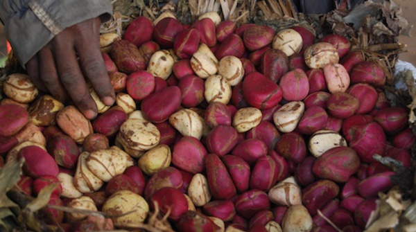 « 4,5 millions de femmes célibataires au Sénégal », l’Ong et son rapport introuvables