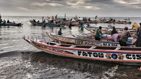 La Mauritanie veut rapatrier 12.000 pêcheurs. Déjà, 350 expulsés