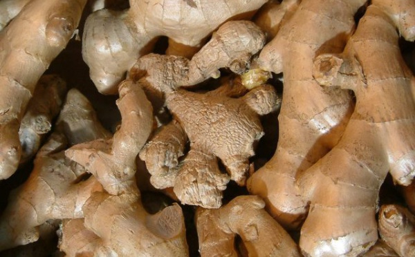 Le jeûne et l’alimentation : le Gingembre, un rhizome aux vertus multiples !