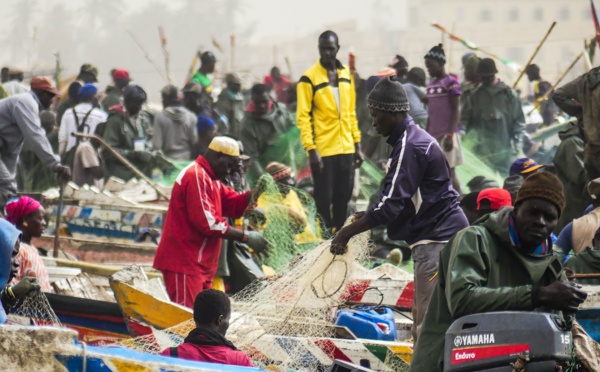 Les 350 pêcheurs refoulés de la Mauritanie "sont dans une situation irrégulière", selon le directeur des pêches