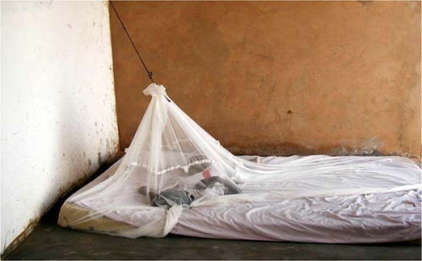 Lutte contre le paludisme à Saint-Louis: 213.600 moustiquaires destinées à la région Nord