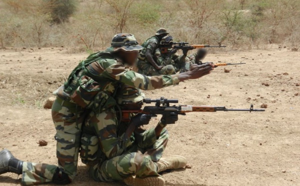 Sénégal-Mauritanie : des patrouilles militaires mixtes pour sécuriser la frontière commune