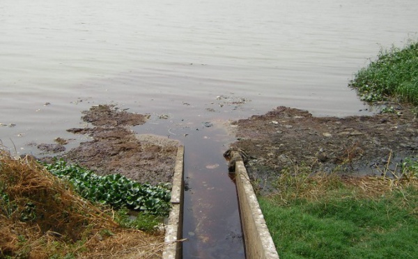 Saint-Louis-Lutte contre les plantes acquatiques envahissantes dans le delta:Une voie d'eau créée à Diawel pour la reprise des irrigations