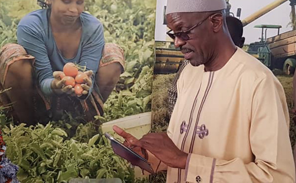 Le CV d'Aboubacry SOW, nouveau DG de la SAED