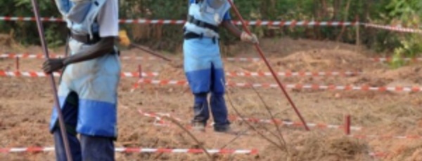 Casamance : 16 démineurs enlevés par des bandes armées