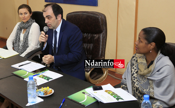 Révélations de la BBC : des "allégations absurdes", selon Géraud Moussarie, le directeur de Bp Sénégal