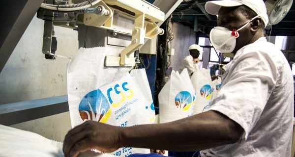 Licenciement de 500 travailleurs de la Css: Sidya Ndiaye annonce une grève